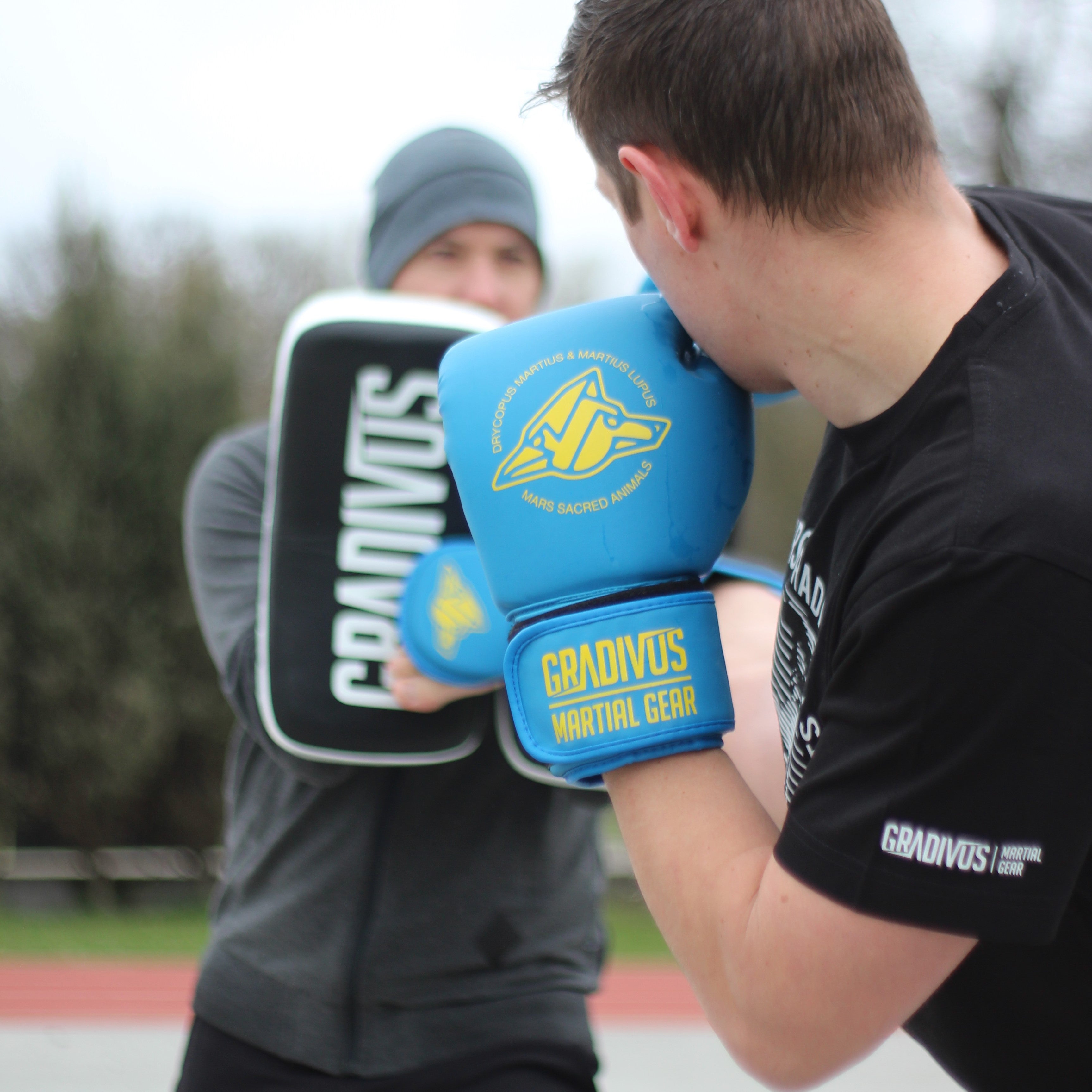 Gloves – GRADIVUS Poland