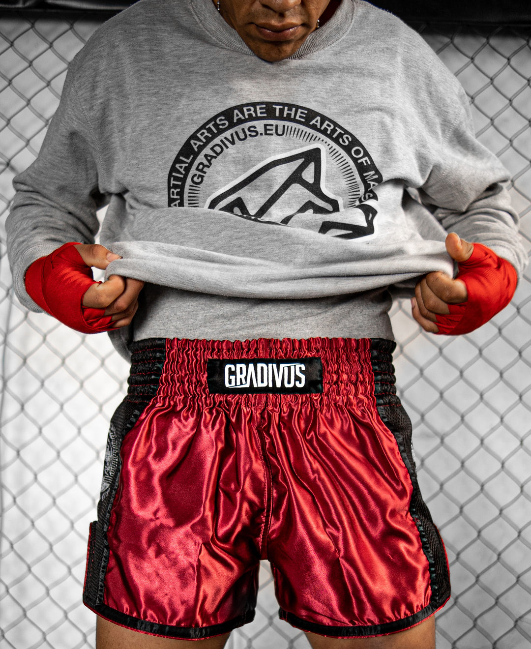 Ring Fighter Shorts