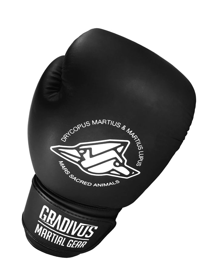 Classic Boxing Gloves