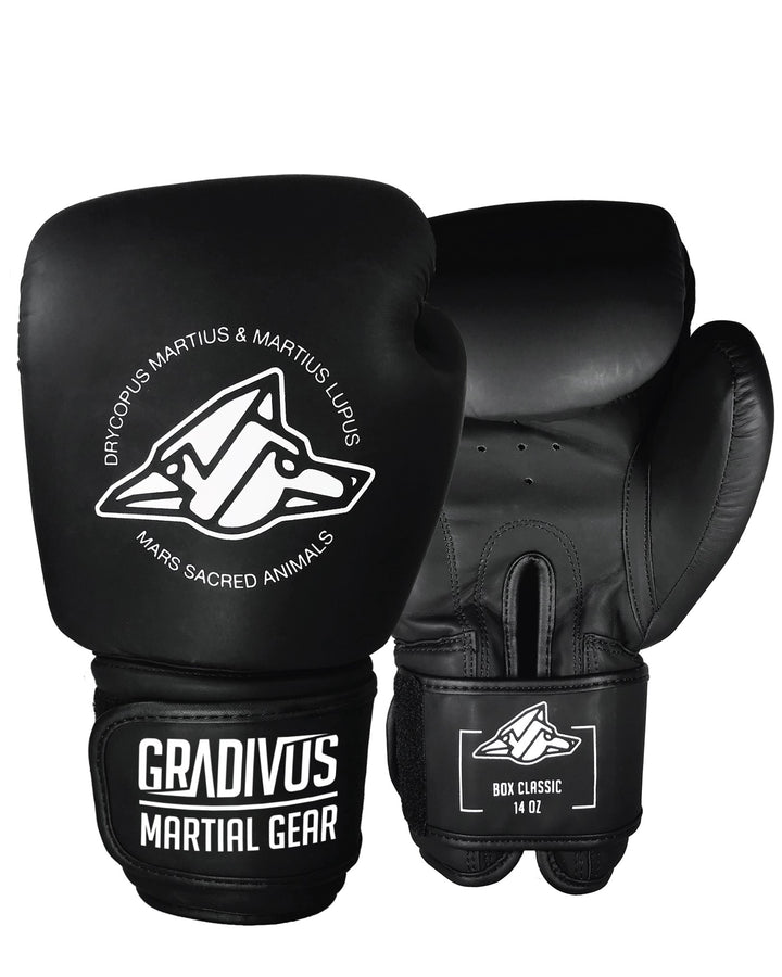 Classic Boxing Gloves