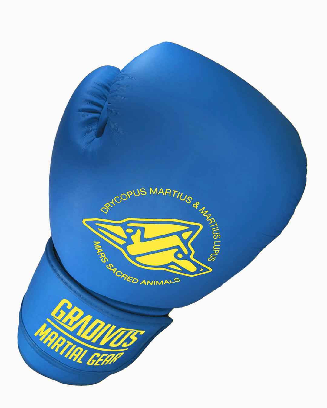 Classic Boxing Gloves