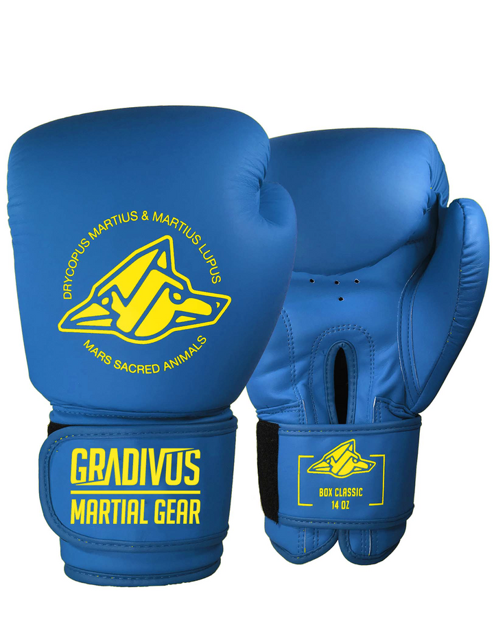 Classic Boxing Gloves