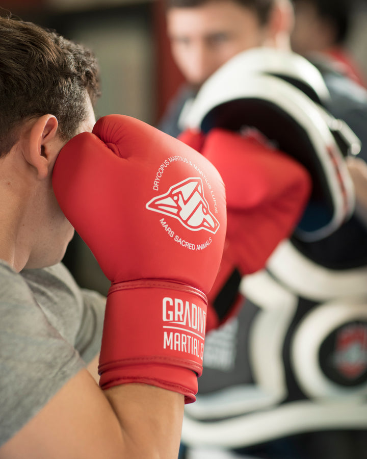 Classic Boxing Gloves