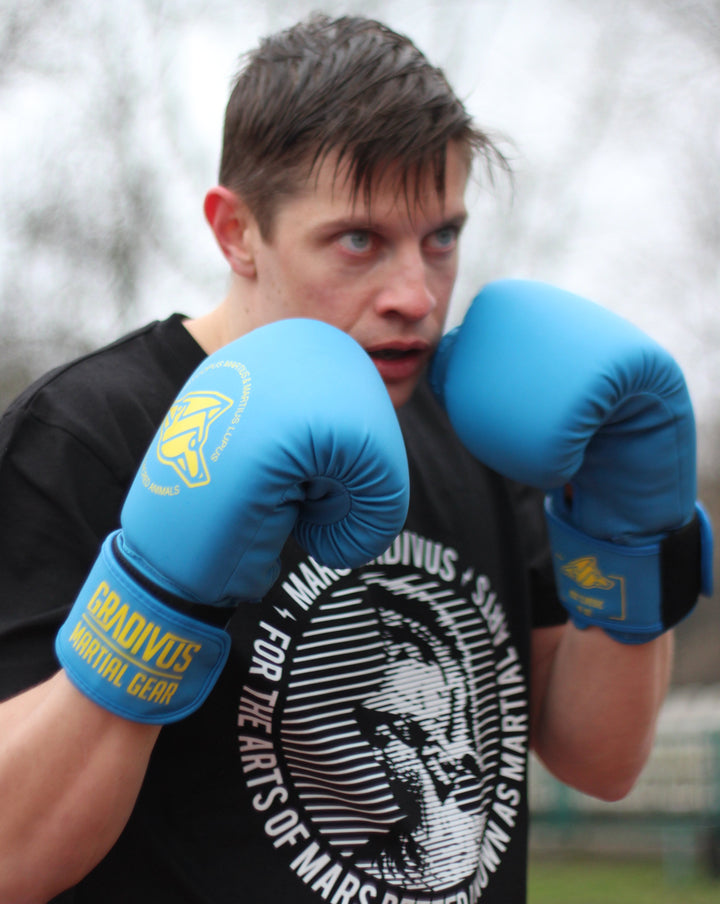 Classic Boxing Gloves