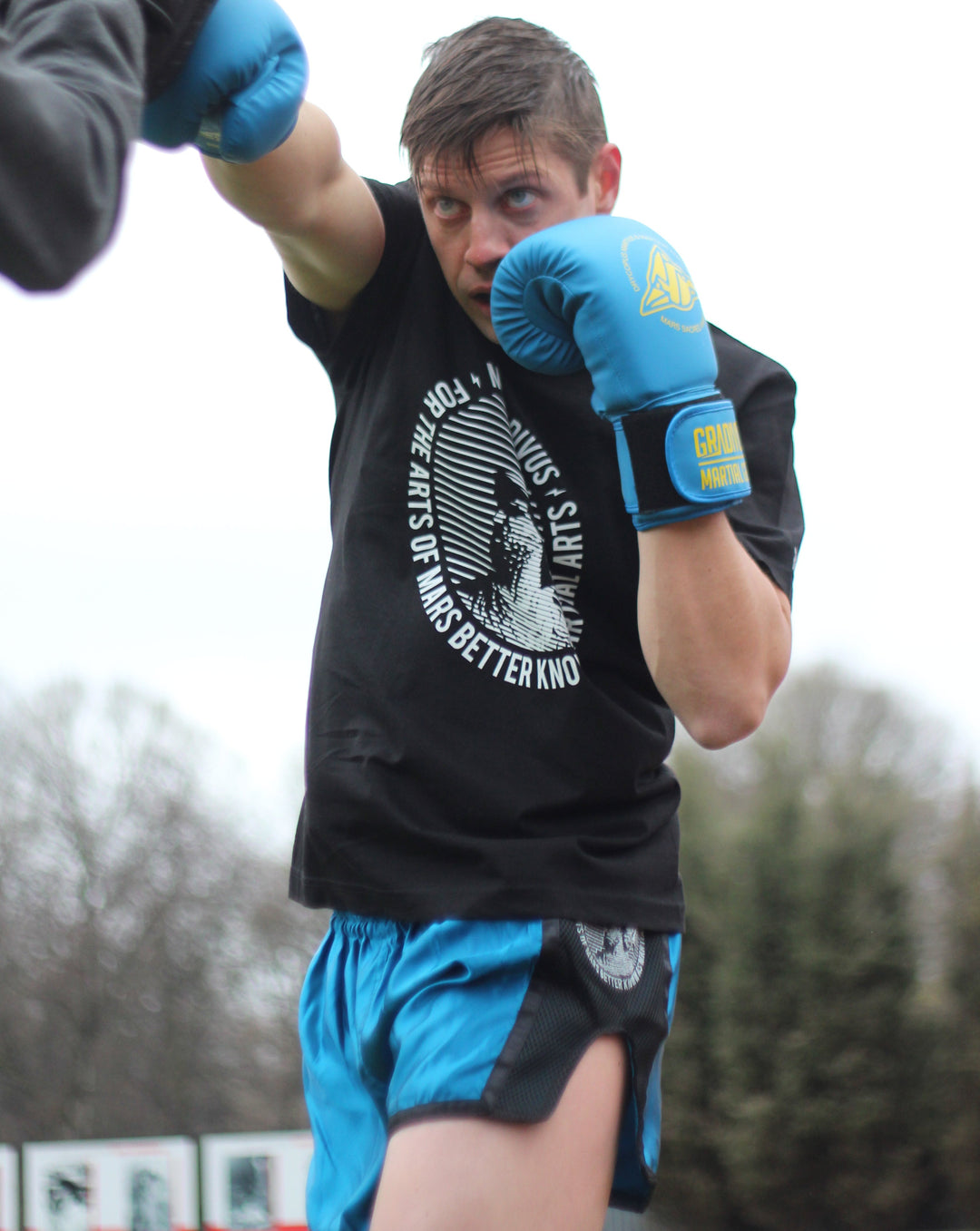 Classic Boxing Gloves