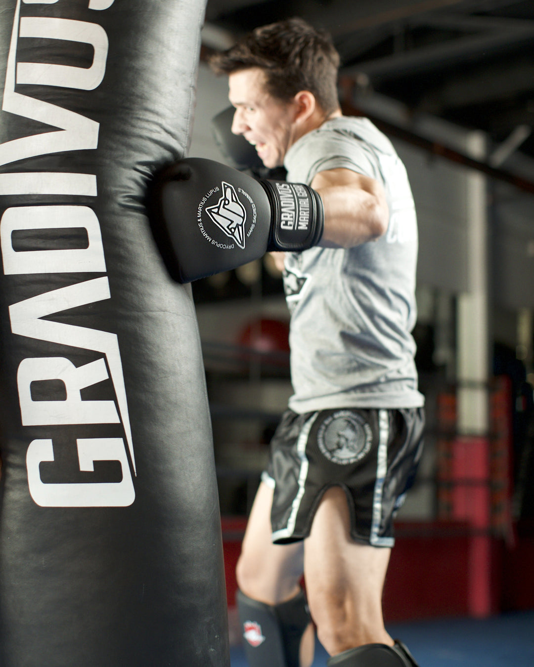 Classic Boxing Gloves