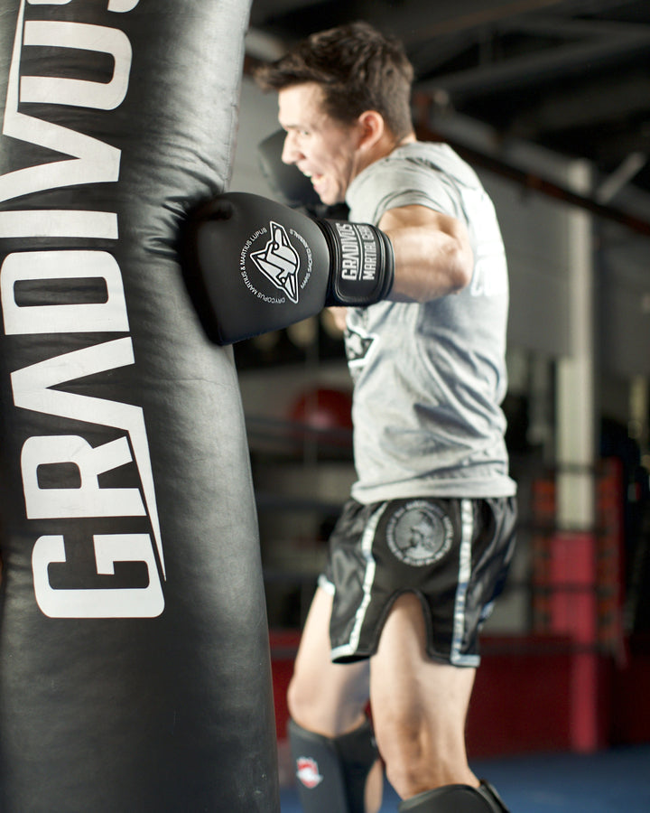 Classic Boxing Gloves