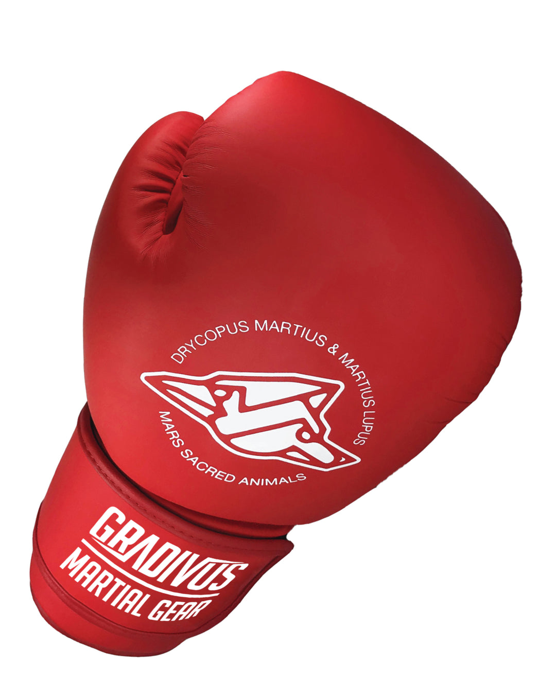 Classic Boxing Gloves