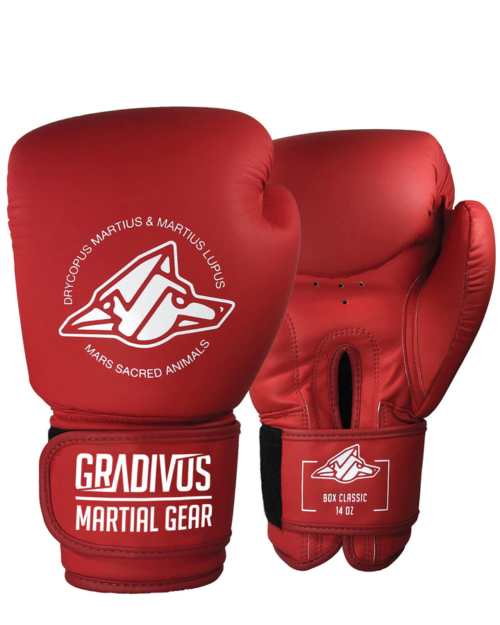 Classic Boxing Gloves