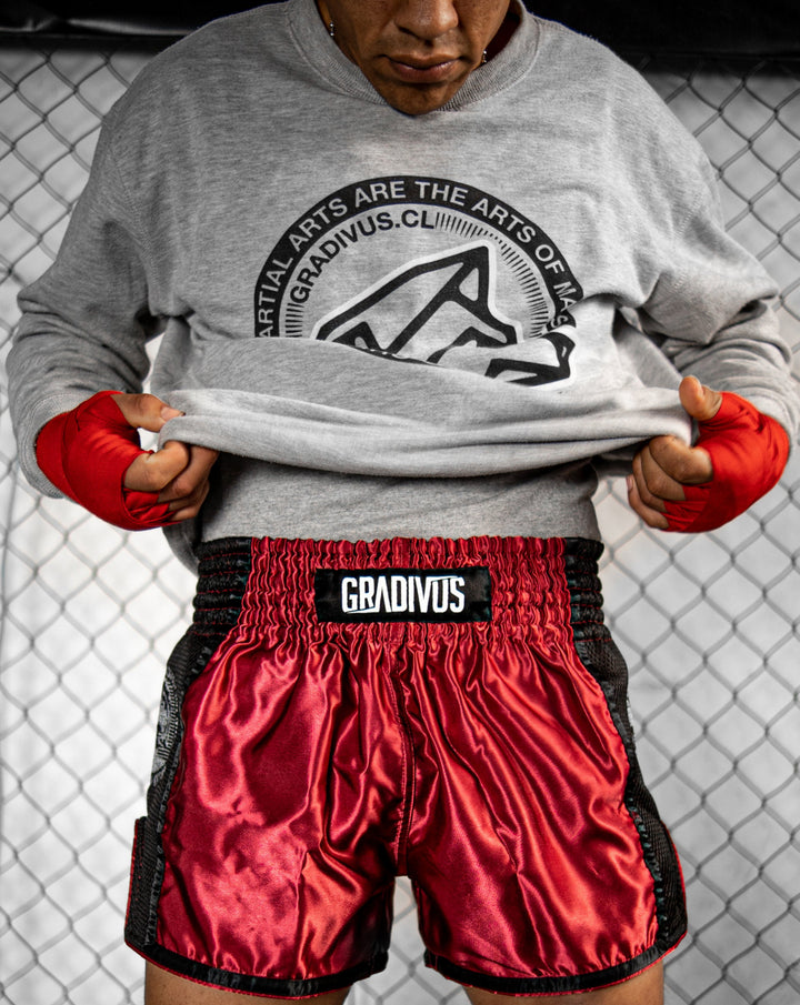 Ring Fighter Shorts