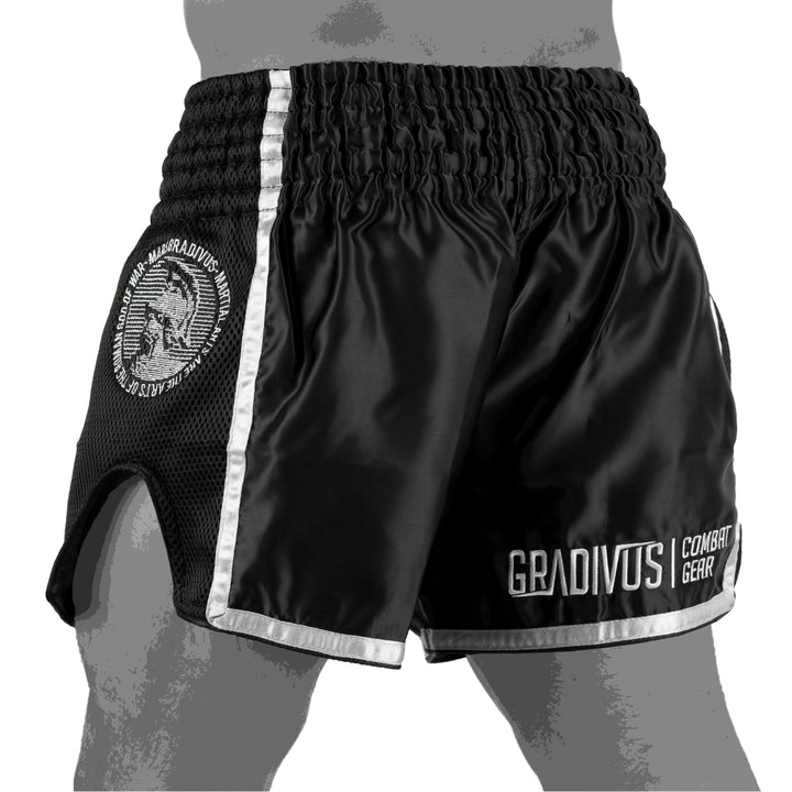 Ring Fighter Shorts