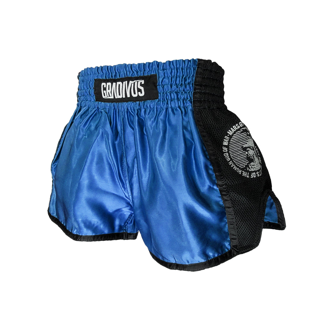Ring Fighter Shorts
