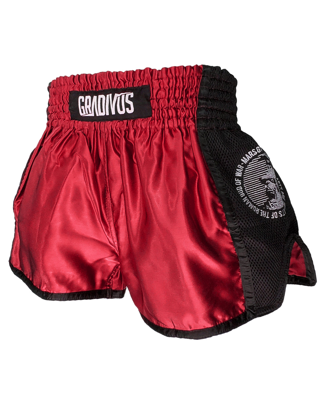 Ring Fighter Shorts