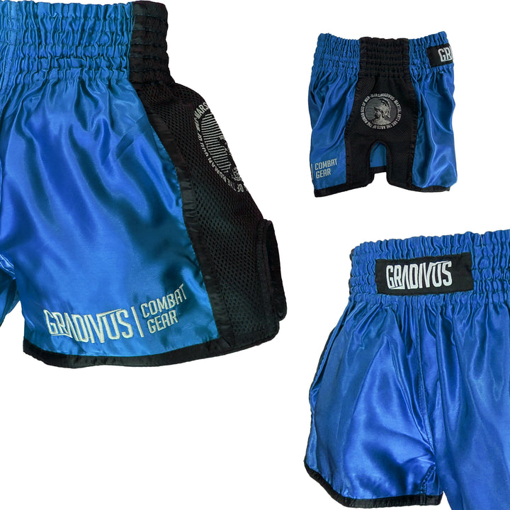 Ring Fighter Shorts