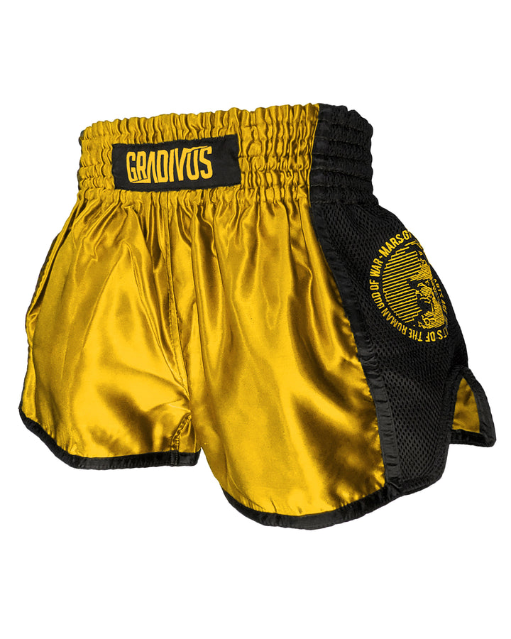 Ring Fighter Shorts