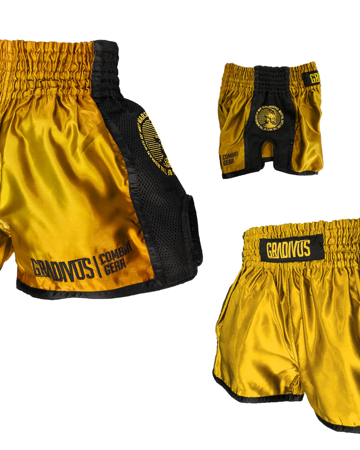 Ring Fighter Shorts