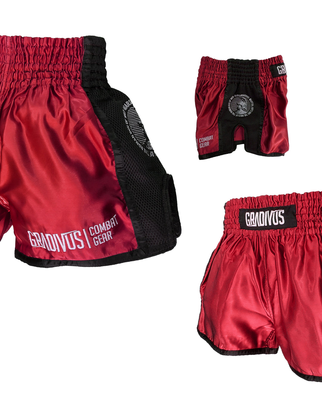 Ring Fighter Shorts